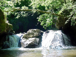 tangovalley frankrijk